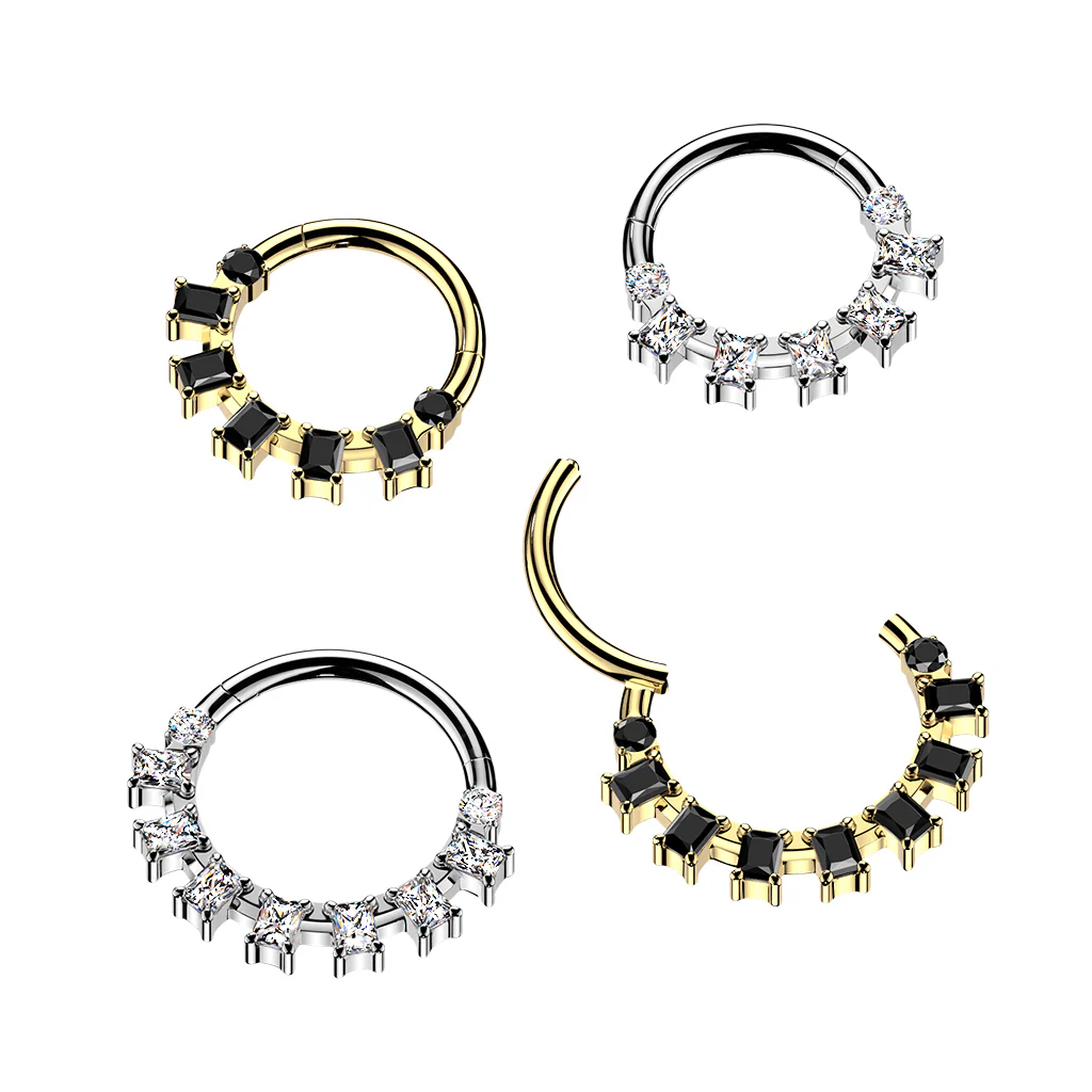 New Nose Rings